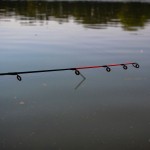 Vanity Carp Feeder 300XH 50-180g